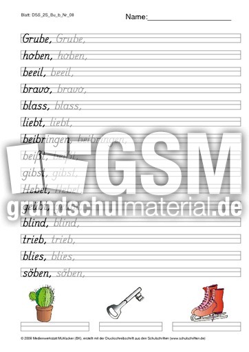 DSS_2S_Bu_b_Nr_08.pdf